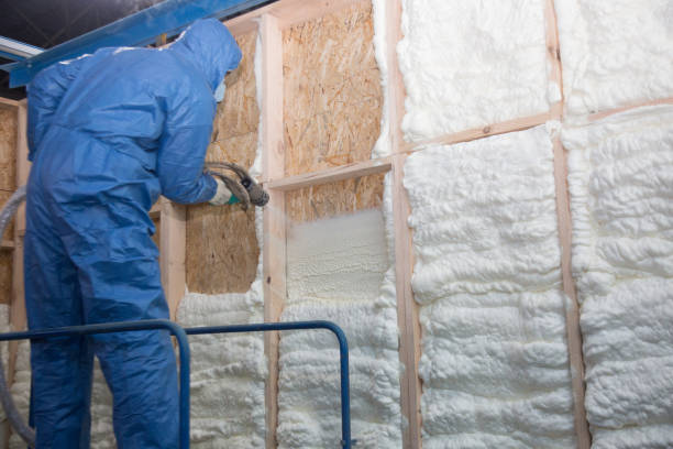 Types of Insulation We Offer in Cutler, CA